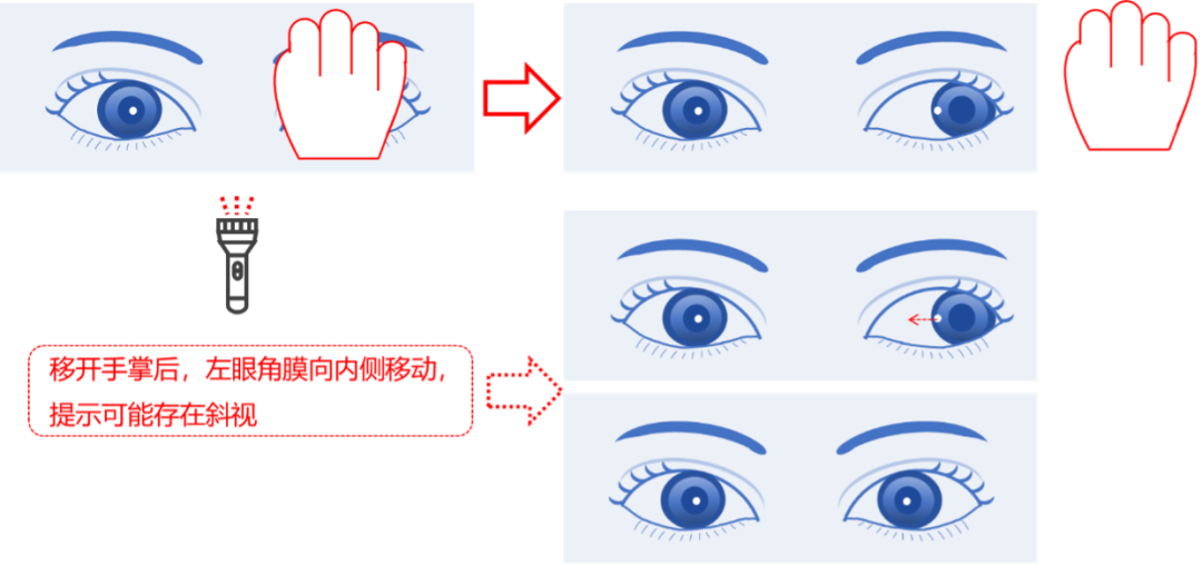 202503242341276784.Png